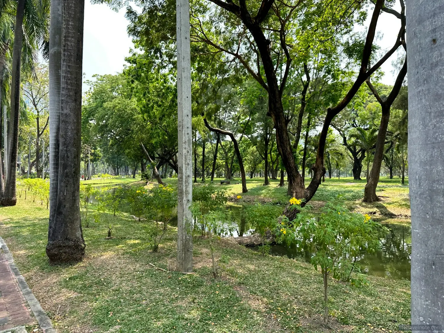 Lumpini Park, The Commons Chaladeng, Lizard, Cafe, Bangkok