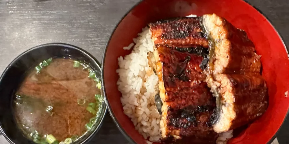 Nadai Unatoto Ueno eel rice bowl
