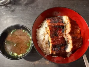 Nadai Unatoto Ueno eel rice bowl