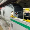 Narita Express NEX