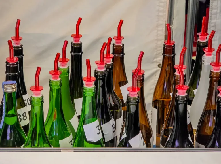 Sapporo Sake Festival 2025: Near Nijo Market with Food Menu, Order Tips